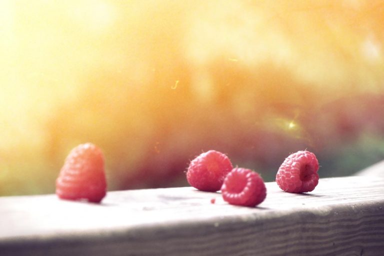 Dolorem voluptas cum et nesciunt qui debitis