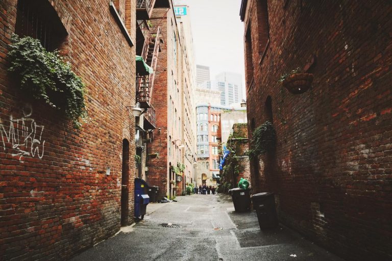 Minus unde quia sed et vitae ipsam